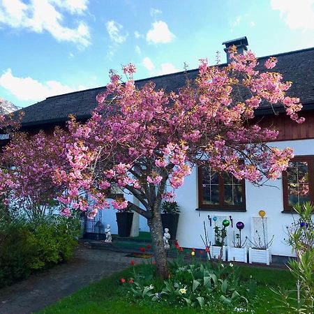 Haus Belli Villa Bad Aussee Exterior photo