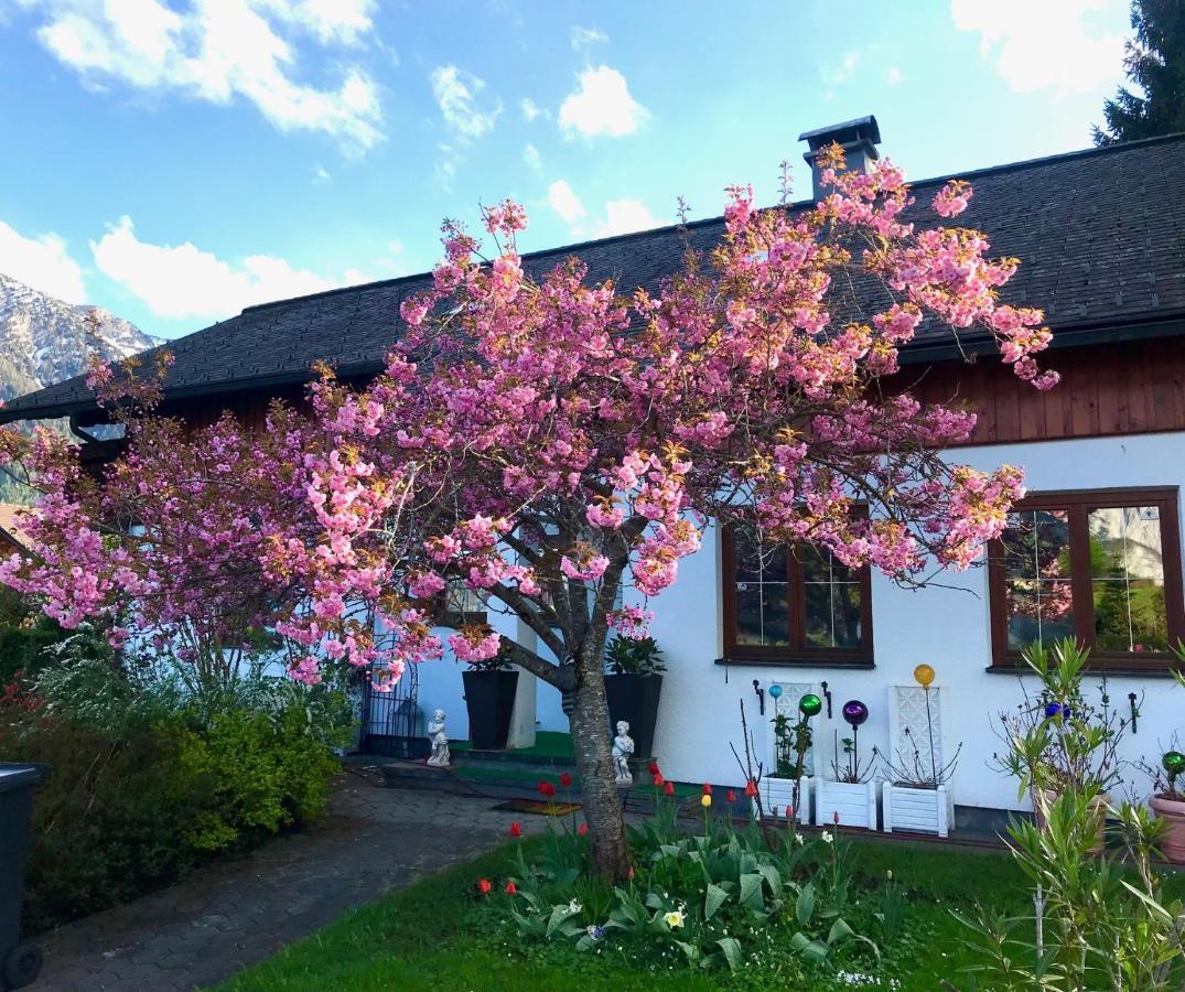 Haus Belli Villa Bad Aussee Exterior photo